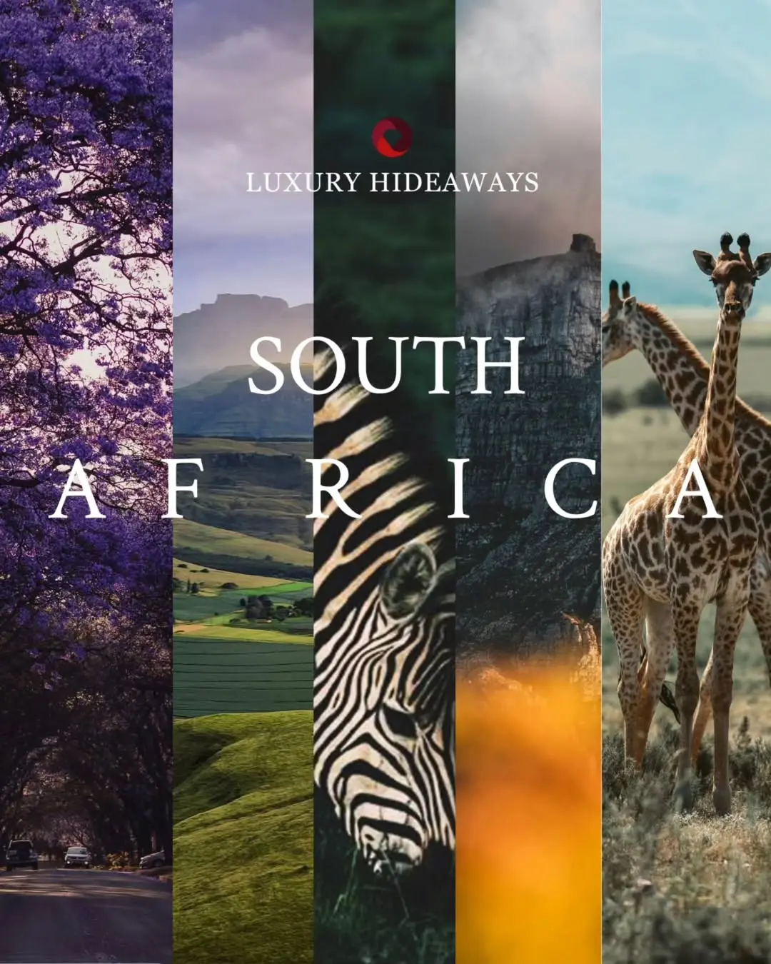 Luxury Hideaways: South Africa, Carousel, Hospitality