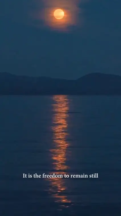 The freedom to remain still, Video, Hospitality