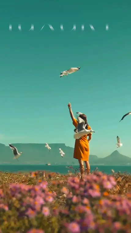 Your Cape Town getaway, Video, Hospitality